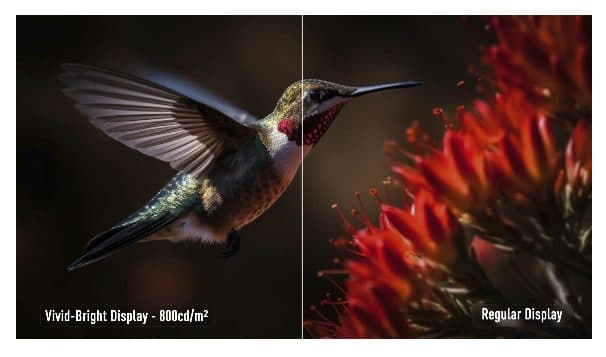 Canlı ve Parlak Ekranlar