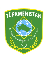 Türkmenistan Devlet Gümrük Servisi