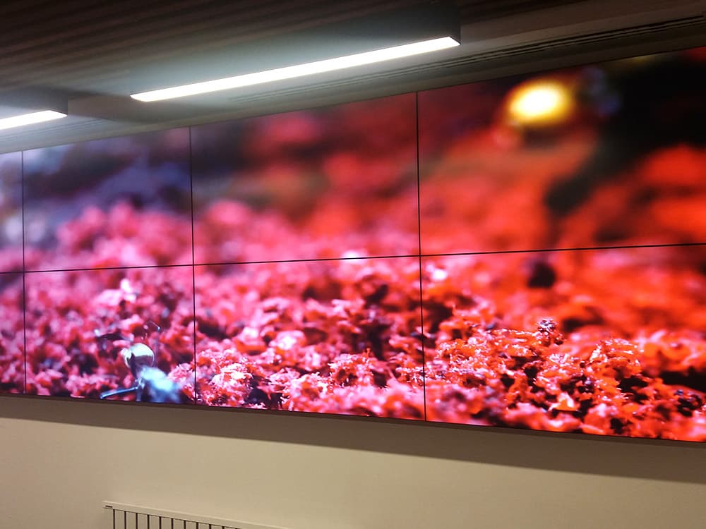 Videowall Uygulaması