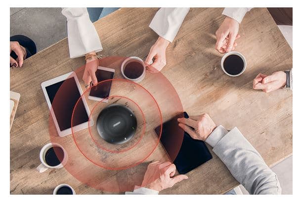 iiyama USB Video Konferans Sistemi